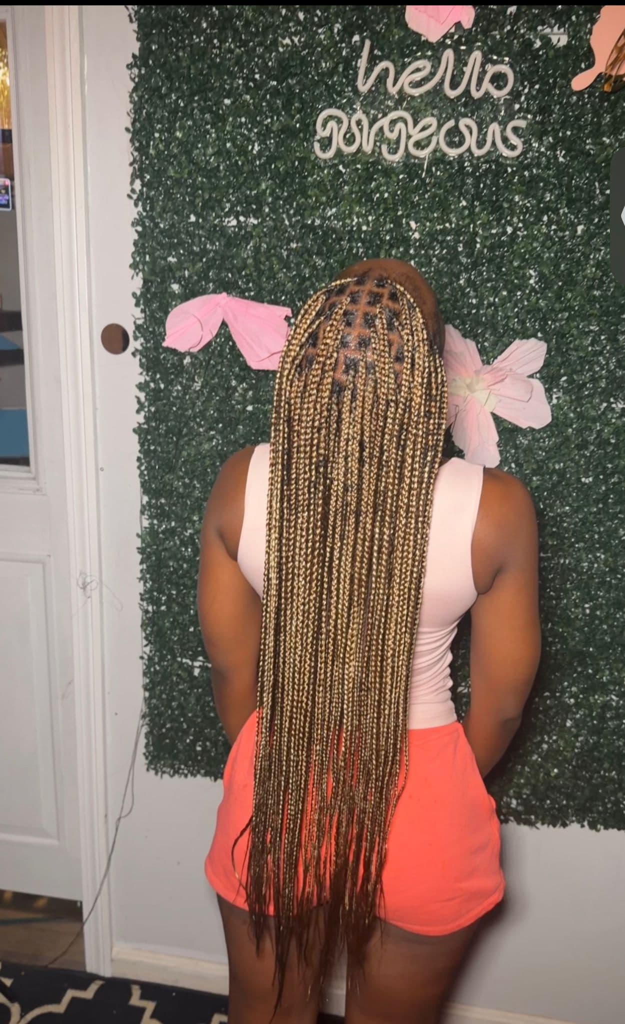 Knotless Braid Excellence